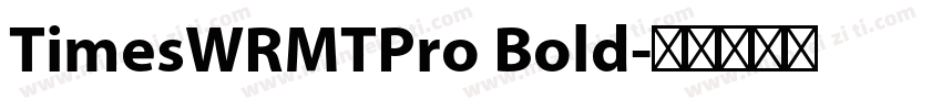 TimesWRMTPro Bold字体转换